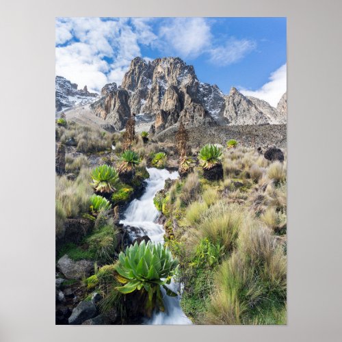 Central Mount Kenya National Park Poster