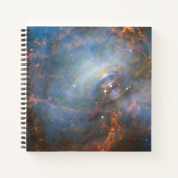 Central Neutron Star In The Crab Nebula. Notebook