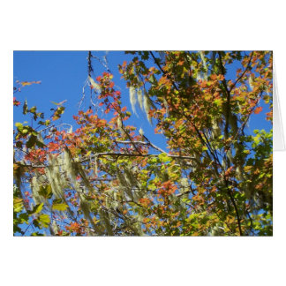 Central Oregon Fall Cards