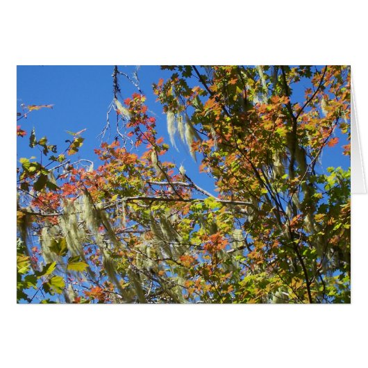 Central Oregon Fall Cards (Front Horizontal)