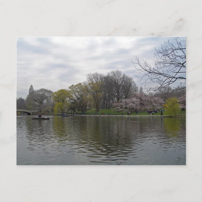 Central Park 001 Postcard (Front)