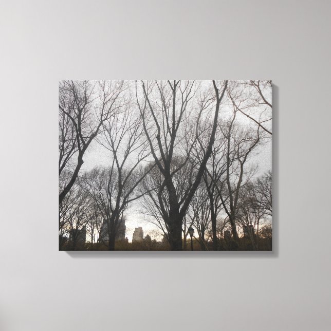 Central Park-1 Canvas Print (Front)