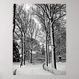 Central park 2010 Snow - CIMG6447-a Poster