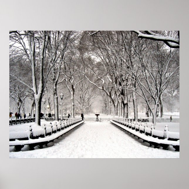 Central park 2010 Snow - CIMG6496 Poster (Front)