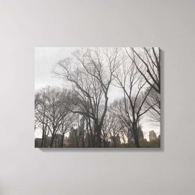 Central Park-2 Canvas Print (Front)