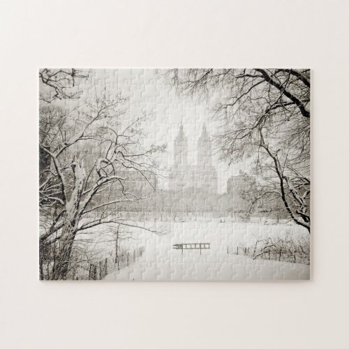 Central Park _ Beautiful Winter Snow Jigsaw Puzzle