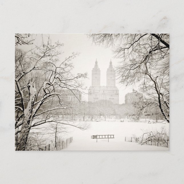 Central Park - Beautiful Winter Snow Postcard (Front)
