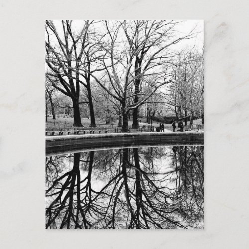 Central Park Black and White Landscape Photo Postcard