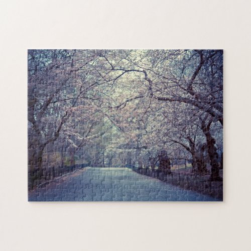 Central Park Cherry Blossom Path Jigsaw Puzzle