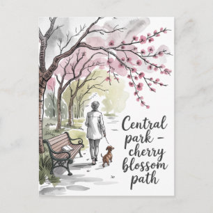 Central Park cherry blossom walkway Postcard