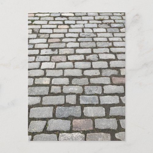 Central Park Cobblestones Stone Pathway NYC Photo Postcard