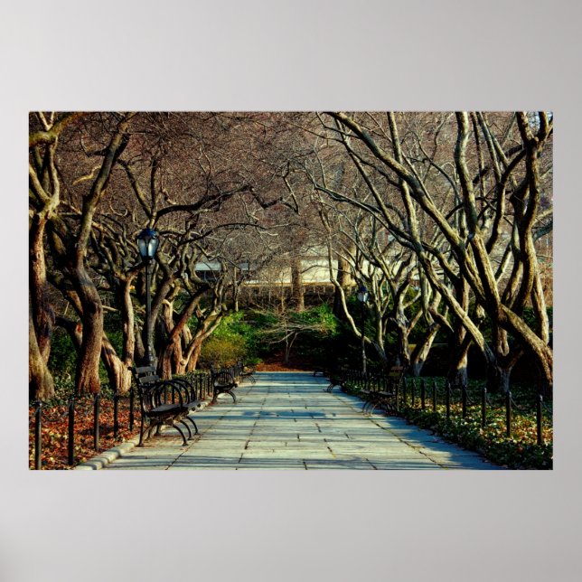 Central Park Conservatory Landscape Photo Poster (Front)