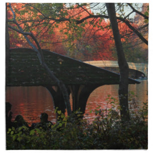 Central Park: Conversation Across From Bow Bridge Cloth Napkin