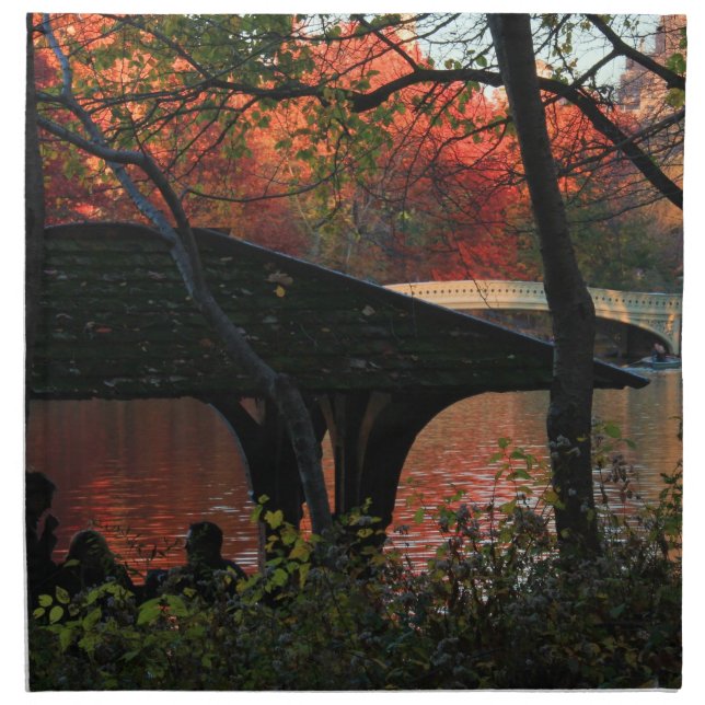Central Park: Conversation Across From Bow Bridge Cloth Napkin (Front)