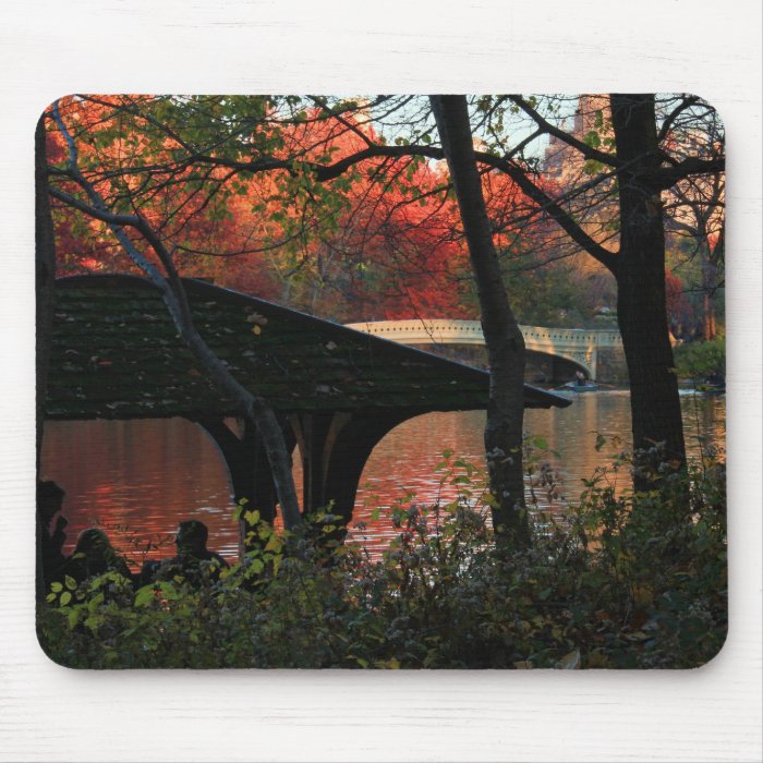 Central Park Conversation Across Bow Bridge Mouse Pad
