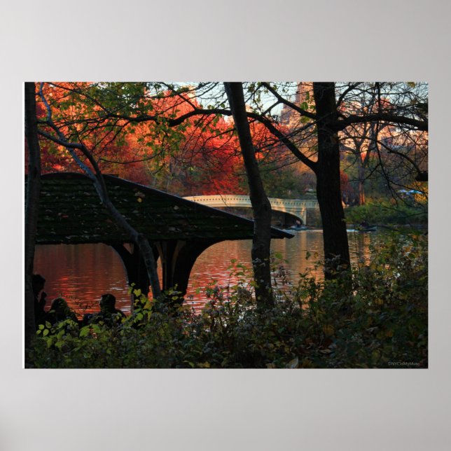 Central Park: Conversation Across From Bow Bridge Poster (Front)