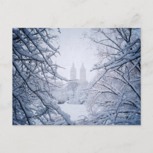 Central Park Framed In Snow and Ice Postcard