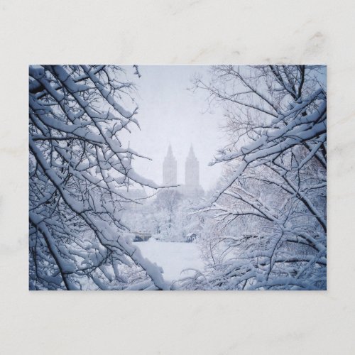 Central Park Framed In Snow and Ice Postcard