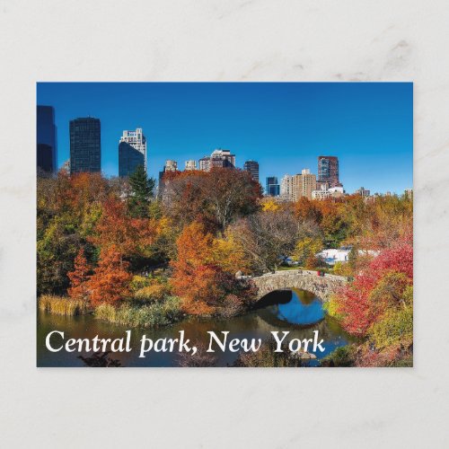 Central park in autumn foliage New York Postcard