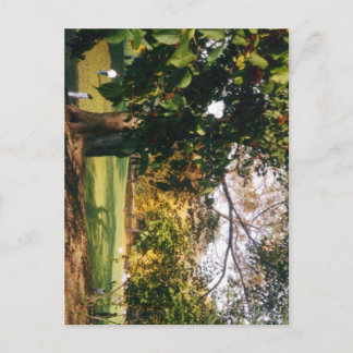 Central Park in Autumn Postcard