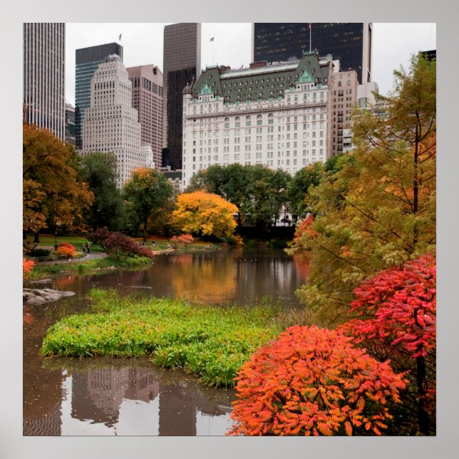 Central Park in Autumn poster (Front)