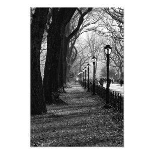 Central Park in New York City Photo Print