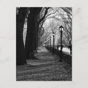 Central Park in New York City Postcard