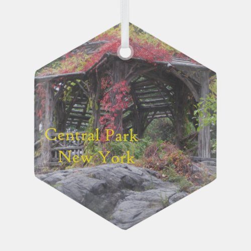 Central Park In New York Glass Ornament