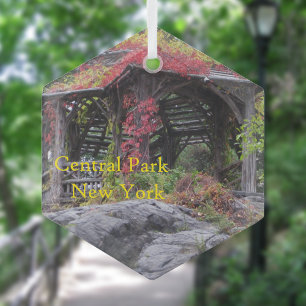 Central Park In New York Glass Ornament