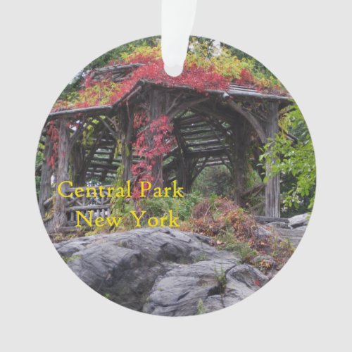 Central Park In New York Ornament