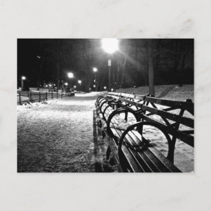 Central Park in Winter Postcard