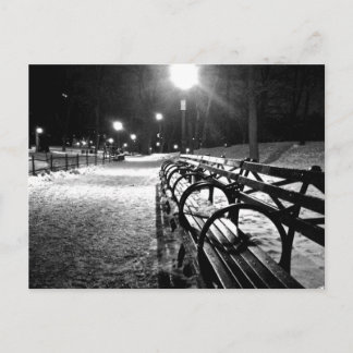 Central Park in Winter Postcard