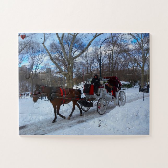 Central Park Jigsaw Puzzle (Horizontal)