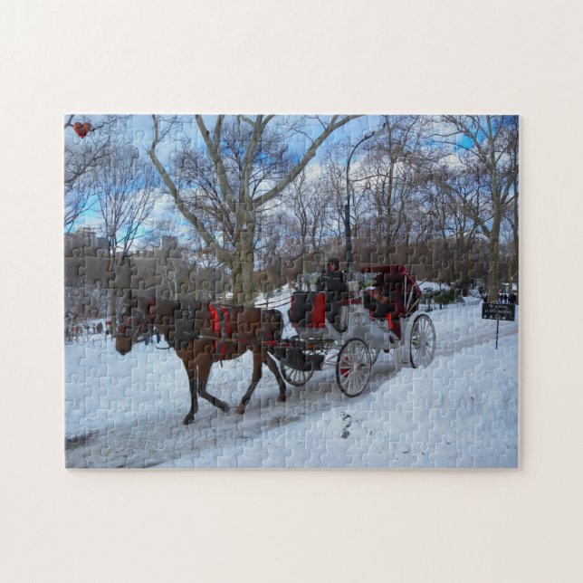 Central Park Jigsaw Puzzle (Horizontal)