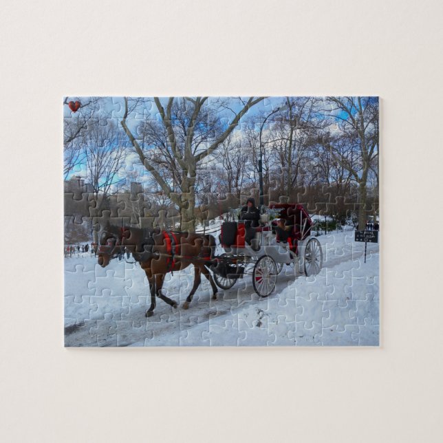 Central Park Jigsaw Puzzle (Horizontal)