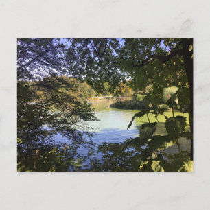Central Park Lake New York City NYC Photo Postcard