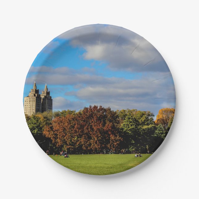 Central Park Landscape Photo Paper Plates (Front)