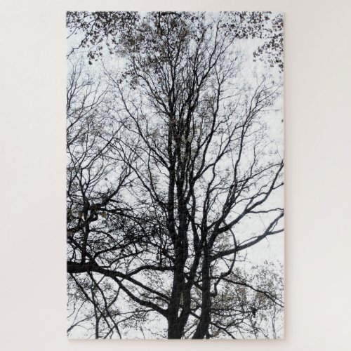 Central Park late autumn almost Barren Tree BW Jigsaw Puzzle