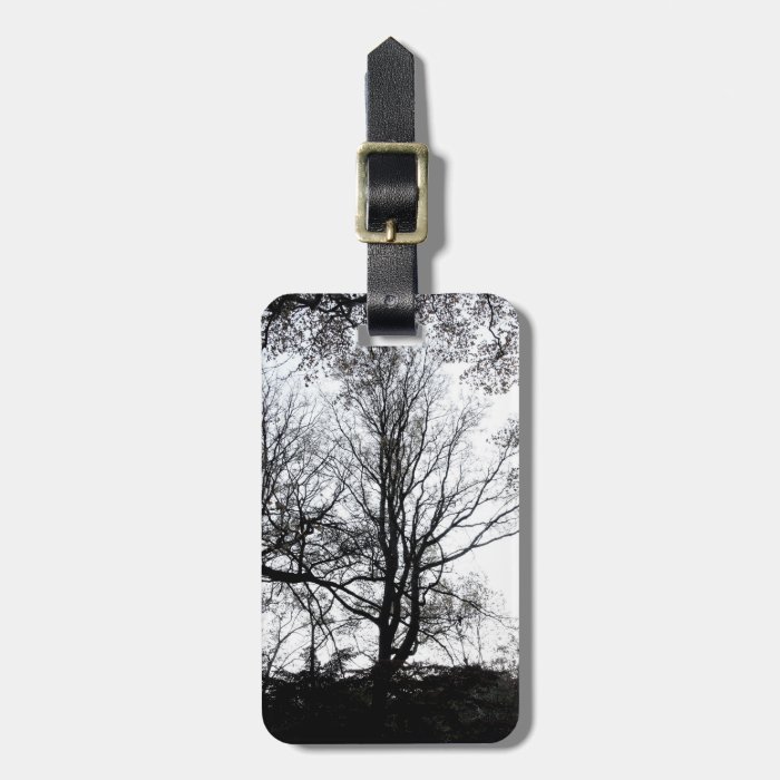 Central Park late autumn almost Barren Tree B&W Luggage Tags