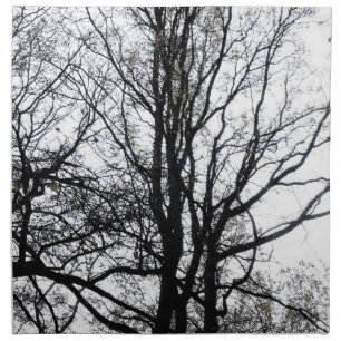 Central Park late autumn almost Barren Tree B&W Napkin