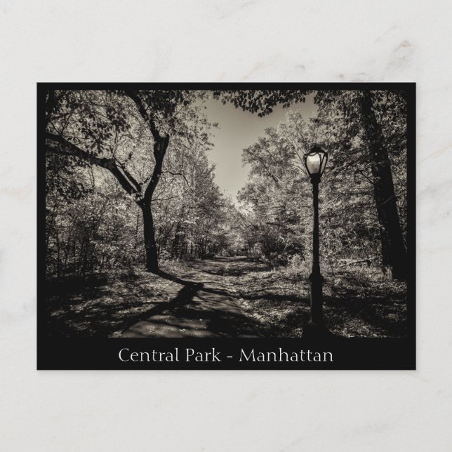 Central Park Manhattan in Black and White Postcard (Front)