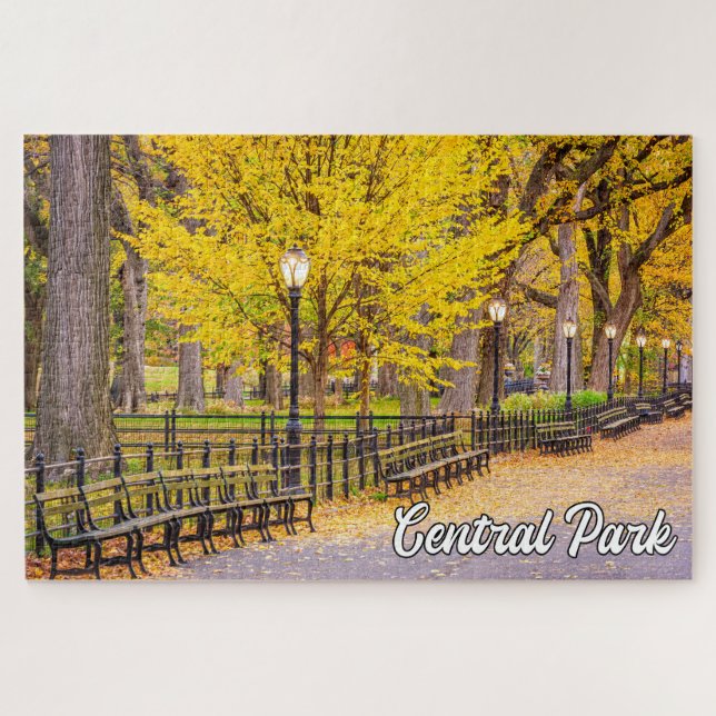 Central Park, Manhattan, New York, USA Jigsaw Puzzle (Horizontal)
