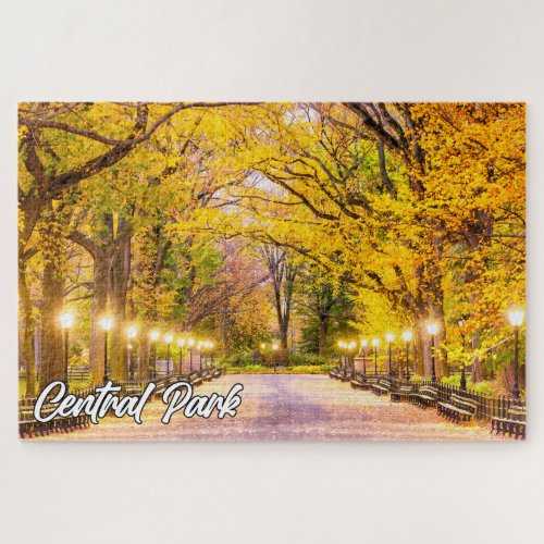 Central Park Manhattan New York USA Jigsaw Puzzle