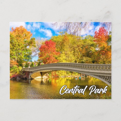 Central Park Manhattan New York USA Postcard