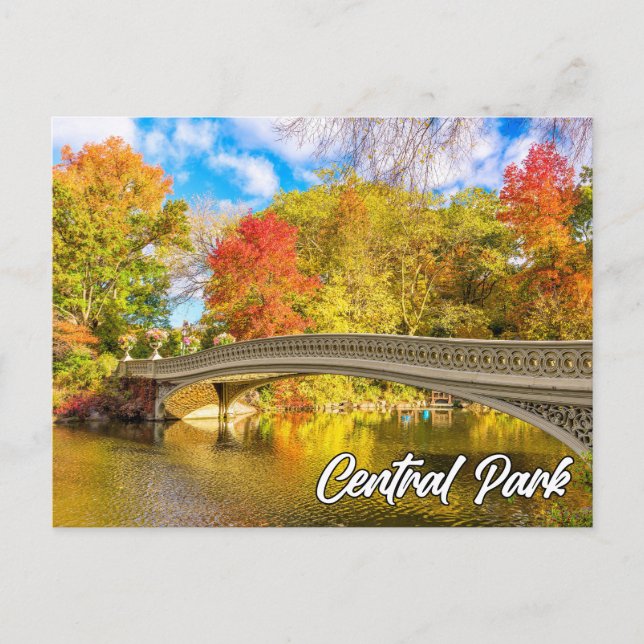 Central Park, Manhattan, New York, USA Postcard (Front)