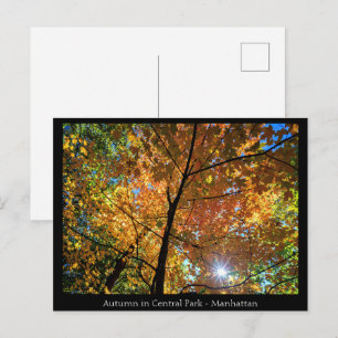 Central Park Manhattan Postcard
