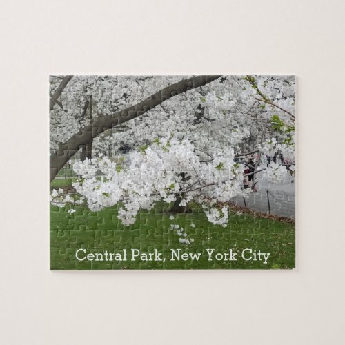 Central Park New York Blossoming Tree in Spring Jigsaw Puzzle