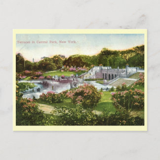 Central Park, New York City 1916 Vintage Postcard