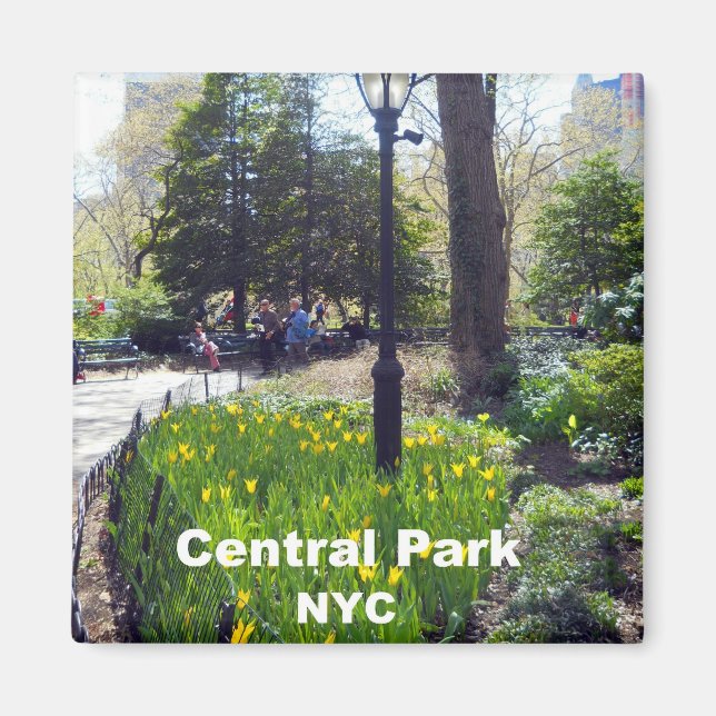 Central Park, New York City Magnet (Front)
