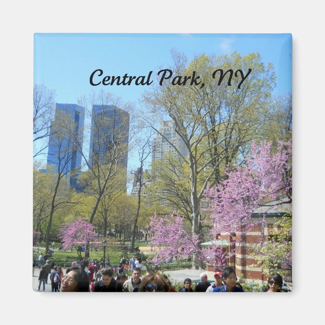 Central Park, New York City Magnet (Front)